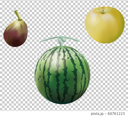 果物イラスト_いちじく_梨_スイカ 68761223