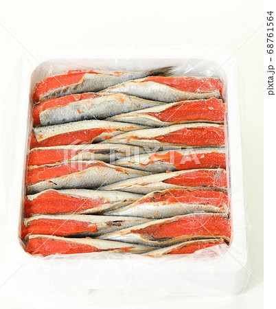 明太いわし 68761564