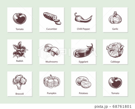 Vegetables slide set. Templates for label design with hand drawn linear vegetable, various vintage hand drawn food with text, farming food. Sketch style vector isolated set Vegetables slide set. Templates for label design with hand drawn linear vegetable, various vintage hand drawn food with text, farming food. Sketch style vector isolated set 68761801