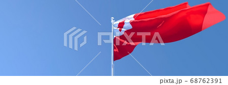 3D rendering of the national flag of Tonga waving in the wind 68762391
