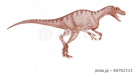 デルタドロメウス 白亜紀後期の肉食恐竜大型だが細身の体で動作は素早く 軽量のため足は速かった のイラスト素材