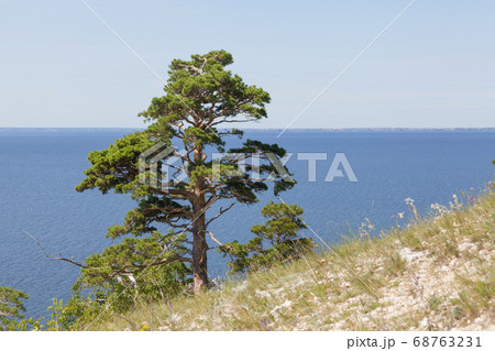 Amazing view on the Volga river in Togliatty 68763231