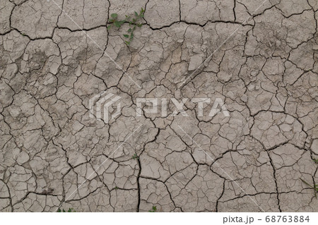 Structure of the dry field, Slovkia Structure of the dry field, Slovkia 68763884