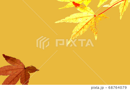 背景模様：枯葉の舞 68764079