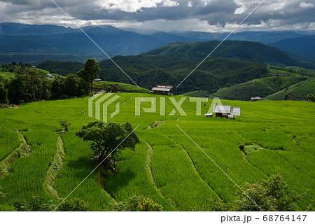 The beautiful scenery of the green terraced rice field of Bong Piang forest village. The beautiful scenery of the green terraced rice field of Bong Piang forest village. 68764147