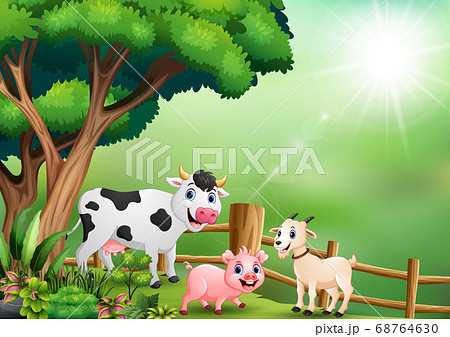 Happy animal farm playing inside the fence 68764630
