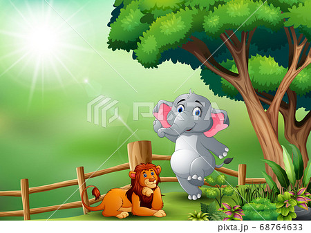 Happy elephant and lion in the jungle 68764633