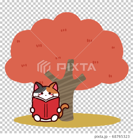 Autumn of reading Cat reading a book under a tree 68765323