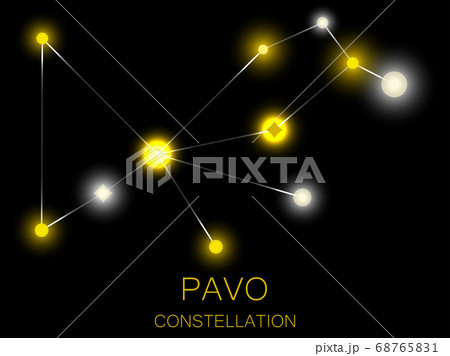 Pavo constellation. Bright yellow stars. Vector  68765831