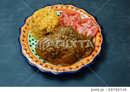 メキシコ料理のモーレ・ポブラーノ(黒背景) メキシコ料理のモーレ・ポブラーノ(黒背景) 68766546