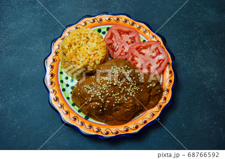 メキシコ料理のモーレ・ポブラーノ(黒背景) メキシコ料理のモーレ・ポブラーノ(黒背景) 68766592