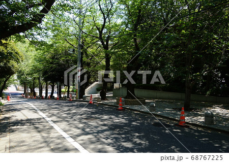 8月　品川239桜並木･御殿山通り･城南五山 68767225