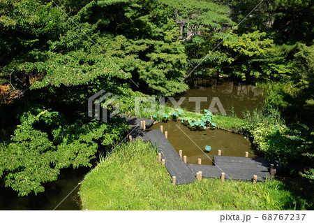 8月 品川229御殿山庭園・城南五山 8月 品川229御殿山庭園・城南五山 68767237