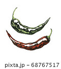 Hand-drawn watercolor image of hot pepper. JPEG 68767517