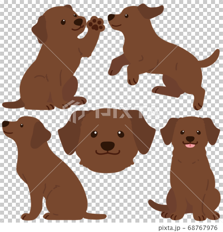 Cute chocolate labrador illustration set without main line 68767976