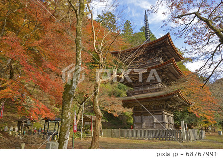 京都 舞鶴 金剛院の紅葉 京都府舞鶴市 秋イメージの写真素材 京都 舞鶴 金剛院の紅葉 京都府舞鶴市 秋イメージの写真素材