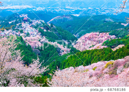 吉野山の千本桜と町並み風景 春 （奈良県吉野郡吉野町） 2020年4