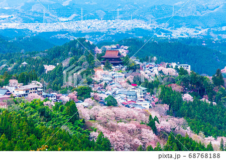 吉野山の千本桜と金峯山寺 春 奈良県吉野郡吉野町 年4月の写真素材