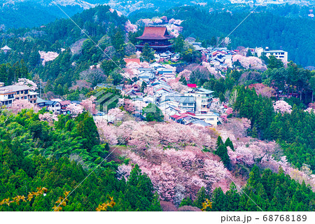 吉野山の千本桜と金峯山寺 春 (奈良県吉野郡吉野町) 2020年4月 吉野山の千本桜と金峯山寺 春 (奈良県吉野郡吉野町) 2020年4月 68768189