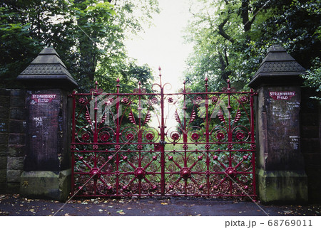 ストロベリーフィールズ 68769011