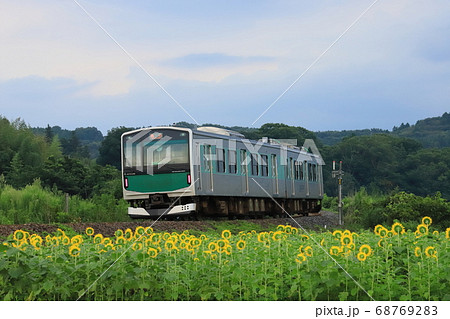 烏山線「雷雨後の空とひまわり咲く沿線風景」 68769283
