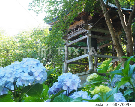 北海道の風景 有珠善光寺 紫陽花寺の写真素材