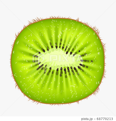 kiwi fruit front view on white back kiwi fruit front view on white back 68770213