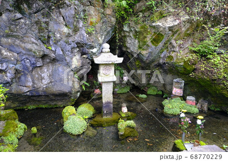清流の郷 醒井宿 「梅花藻」咲く地蔵川とその風景 68770229