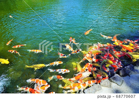 高松市・栗林公園（ミシュラン★★★） 68770607