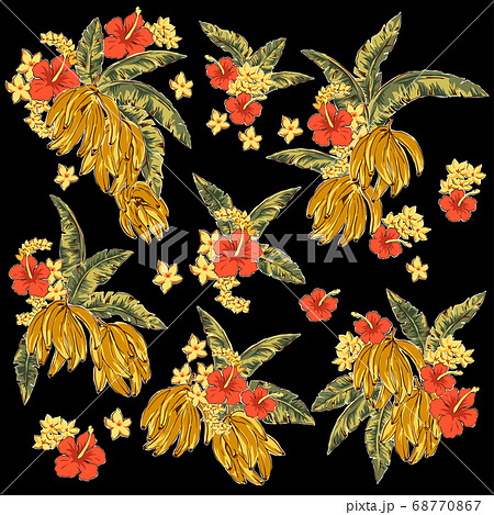 熱帯植物とバナナのトロピカルイラスト素材, 68770867