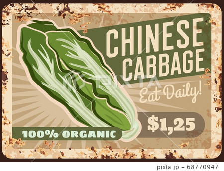 Cabbage Chinese napa rusty metal plate, vegetables 68770947
