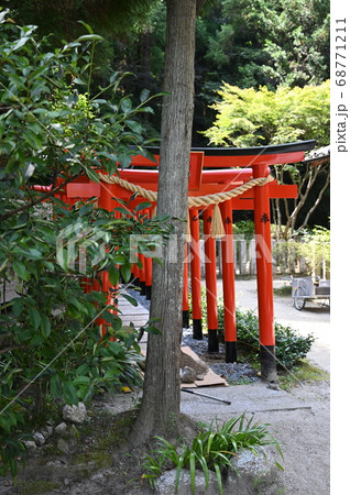 葛城一言主神社 境内の赤鳥居 御所市 葛城一言主神社 境内の赤鳥居 御所市 68771211