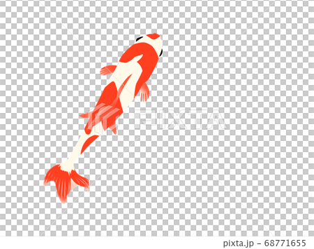 Illustration of a goldfish seen from above 68771655