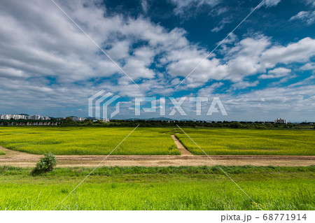 農場 農業 自然 68771914