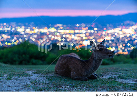 《奈良県》新日本三大夜景・若草山の夜景 68772512