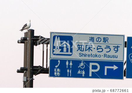 知床半島の羅臼で道の駅の看板とカモメ 知床半島の羅臼で道の駅の看板とカモメ 68772661