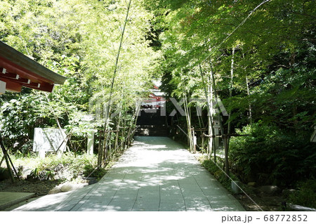 来宮神社 参拝までの小道 熱海にて 来宮神社 参拝までの小道 熱海にて 68772852