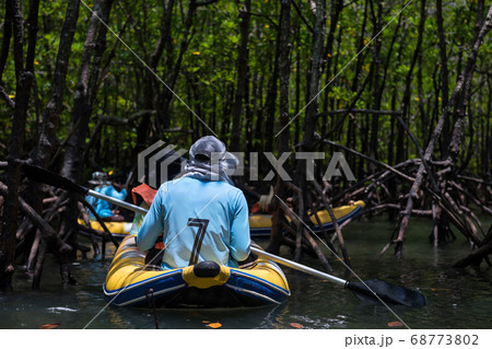 canoeing to mangrove forest swamp, Phang Nga 68773802