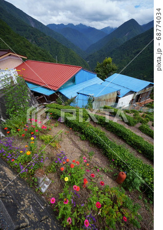下栗の里、百日草 下栗の里、百日草 68774034