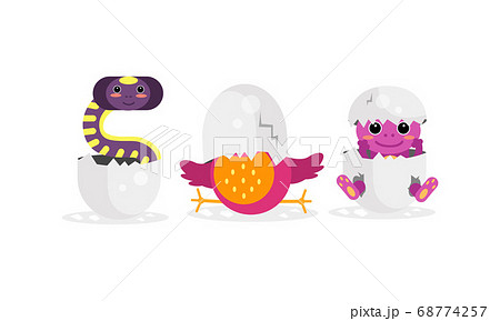 Cute Bird and Reptile Hatching from Egg Vector Set Cute Bird and Reptile Hatching from Egg Vector Set 68774257