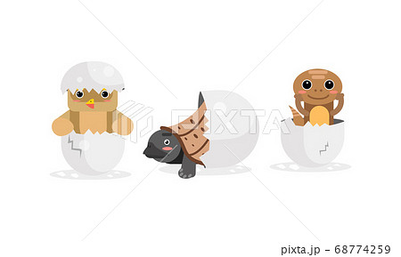 Cute Birds and Reptile Hatching from Egg Vector Set Cute Birds and Reptile Hatching from Egg Vector Set 68774259