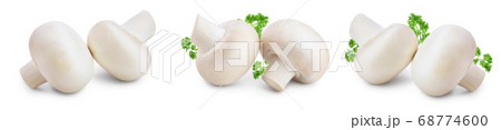 Fresh mushrooms champignon isolated on white background with clipping path and full depth of field. Set or collection Fresh mushrooms champignon isolated on white background with clipping path and full depth of field. Set or collection 68774600