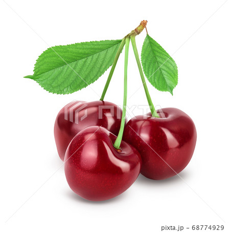 red sweet cherry isolated on white background with clipping path and full depth of field 68774929