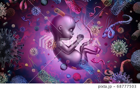 Fetus Infectious Disease 68777503