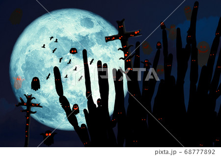 Super corn blue moon birds and silhouette cactus 68777892