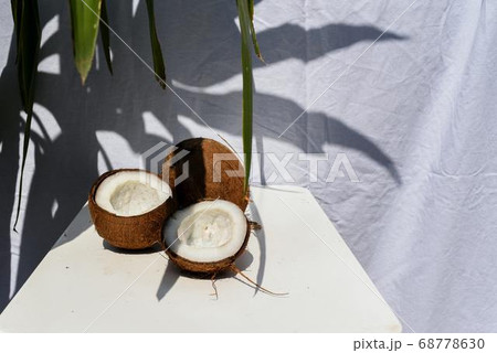 Coconut Day.Coconut Photography.Coconut Tree. 68778630