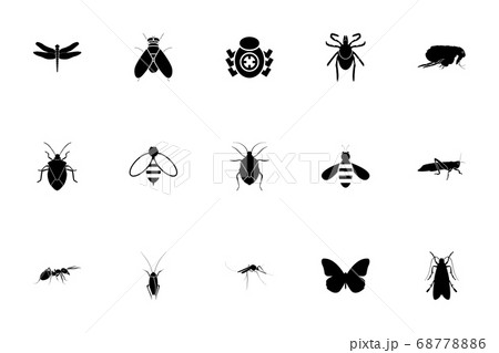 Insects black color set solid style image 68778886