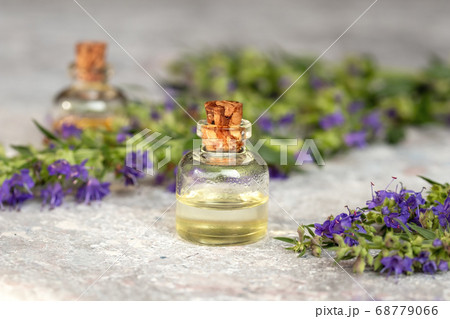A bottle of hyssop essential oil with fresh hyssop flowers A bottle of hyssop essential oil with fresh hyssop flowers 68779066