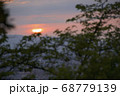 森からの夕日 68779139