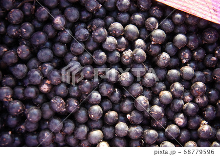 アマゾン産のアサイー　ブラジル 68779596